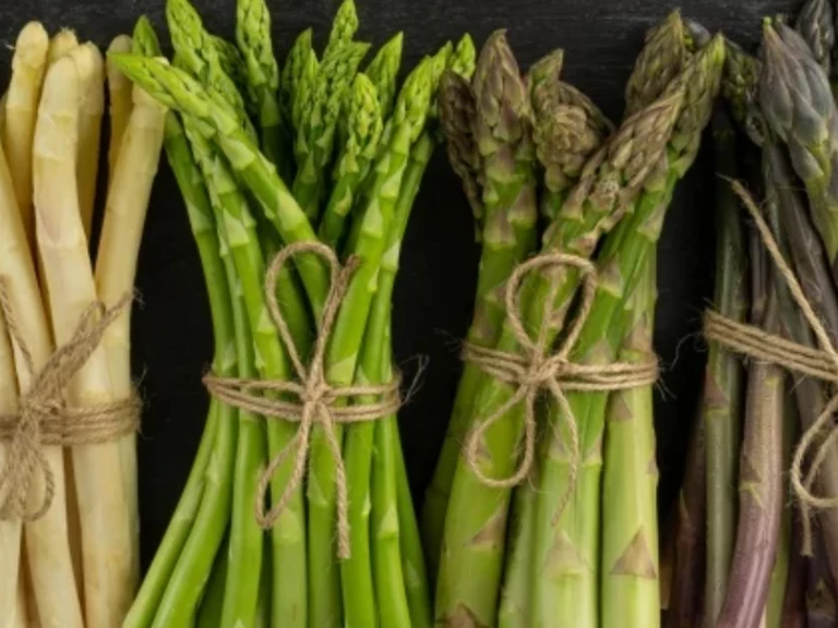 Asperges - La ferme de Jenny