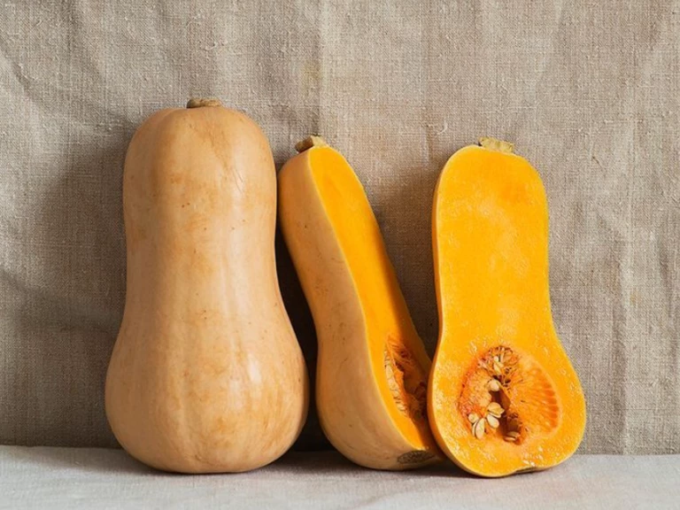 Butternut - La ferme de Jenny